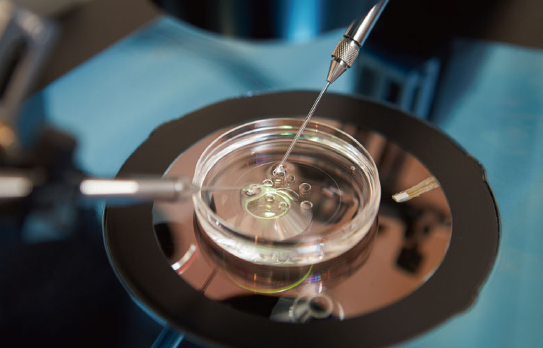 做美国试管胚胎移植期间需要注意什么